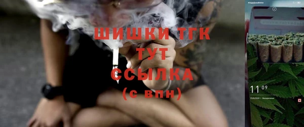 mix Надым