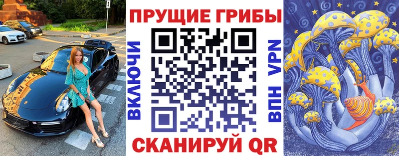 что такое   Николаевск  Галлюциногенные грибы Magic Shrooms 